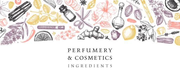 Perfumery and cosmetics ingredients banner. Flower, fruit, spice, herb sketches. Hand drawn vector illustration. Cosmetics design template. Aromatic plants background